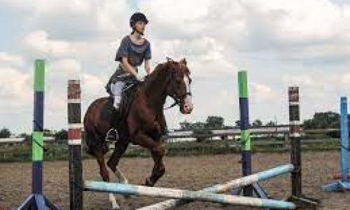 миниатюра курса